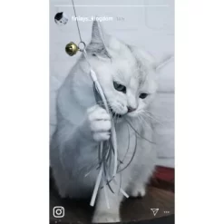 Kater Kasimir Deluxe Set Mit 9 Beliebten Katzenspielzeugen Aus Naturmaterial Und Handgemachtem CATMOM Armband 12 Kater Kasimir Deluxe Set Mit 9 Beliebten Katzenspielzeugen Aus Naturmaterial Und Handgemachtem CATMOM Armband -Tierbedarf Fach Geschäfte 49d8384c6a74394f96adcf0803dcc77b45c1e2cf 1408141 de DE b29a5f7f2530ce6388e16e2600369d70b2ec0350EyVUwU