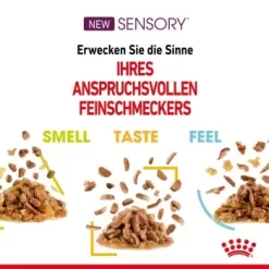 ROYAL CANIN SENSORY Smell In Gelee Für Wählerische Katzen 12x85g -Tierbedarf Fach Geschäfte 4a632532d23d065e189b82401db5c561b6749e74 bbe7e159ee2cfcc0155771b211da953377ec5c40