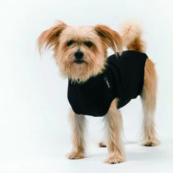 Trovet Hundebody Recovery Suit Schwarz XXS 2 Trovet Hundebody Recovery Suit Schwarz XXS – Bild 2