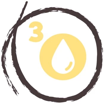 PREMIERE RAW KITCHEN 5-Pflanzen-Öl 250ml 4 PREMIERE RAW KITCHEN 5-Pflanzen-Öl 250ml – Bild 4