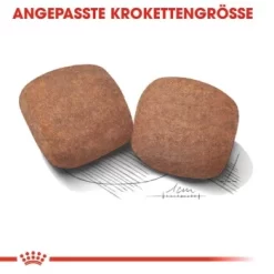 ROYAL CANIN Giant Adult 15 Kg -Tierbedarf Fach Geschäfte 4c478da0f3ca9a9bc8202b37d8335a9549df794f 3ed1e2718483704e470cb89d919125128aaf9407