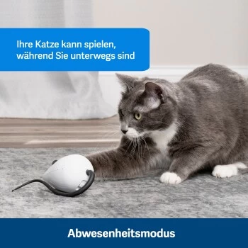 PetSafe Automatisches Katzenspielzeug RoloRat 3 PetSafe Automatisches Katzenspielzeug RoloRat – Bild 3