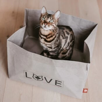 Canadian Cat Company Katzenbett Winnipeg 7 Canadian Cat Company Katzenbett Winnipeg – Bild 7