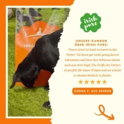 Irish Pure Trockenfutter: Irisches Freiland-Huhn Mit Gemüse & Kelp-Alge, Puppy 1,5 Kg -Tierbedarf Fach Geschäfte 511ff460283c41533120bcec5837dc9e126768e0 1472290 de DE af8aa8b2ccde6336ad826060686e1859daf7b1ebqIyLFu