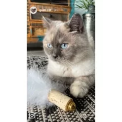 Kater Kasimir Deluxe Set Mit 9 Beliebten Katzenspielzeugen Aus Naturmaterial Und Handgemachtem CATMOM Armband 11 Kater Kasimir Deluxe Set Mit 9 Beliebten Katzenspielzeugen Aus Naturmaterial Und Handgemachtem CATMOM Armband -Tierbedarf Fach Geschäfte 53dfde9e2fe82dcabccac0c3ca73172551111df6 1408141 de DE 911e17a5e45692f3789ac8bc9aee946048898d74cBDD0E