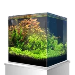 Amtra Nanoscaping Weisglassbecken 15 L -Tierbedarf Fach Geschäfte 58236b3cab086b84dd3cc2e4cf34565296c2c99b 8324f35622550151fdc74ef4d8f4c3f144a7a312