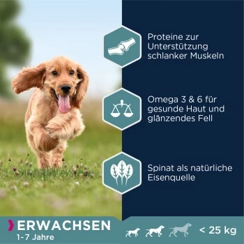 EUKANUBA Adult Small & Medium Breed Lachs 12kg 4 EUKANUBA Adult Small & Medium Breed Lachs 12kg – Bild 4