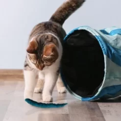 Kater Kasimir 3 Handgerollte Filzwürmchen Aus Schurwolle + 1 Mini-Flasche Katzenminze-Spray 7 Kater Kasimir 3 Handgerollte Filzwürmchen Aus Schurwolle + 1 Mini-Flasche Katzenminze-Spray -Tierbedarf Fach Geschäfte 628f7d1d4ec1f70990cd24d861db16d7b447278c 1409266 de DE e1034005335ef5de37662c8ab367f77b33e0f5830ItxtL