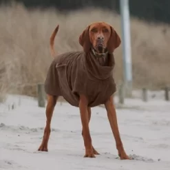 THE DOG IDEA Bademantel Every Braun XXXS -Tierbedarf Fach Geschäfte 62c517832f7f923b83b0a0ee681a77b2e33cc3c3 1473036 de DE 2393ef51979dd0191b0261c826741cb7543b7b3brAaZfV