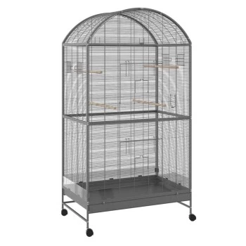 MORE FOR Voliere Darwin 1 MORE FOR Voliere Darwin