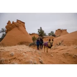 Ruffwear Overcoat Fuse™ Hundejacke Violett XXS -Tierbedarf Fach Geschäfte 63f0f6c2ce316cb05ad8327a81fc0693c061f7c9 1639761 de DE c1f94f51e318dc9402504b3760a5b7d8c990fb78cnSRrn