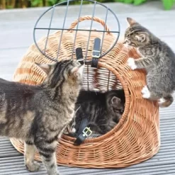 Aumüller Rattanhöhle Gesottene Weide -Tierbedarf Fach Geschäfte 644da56b8da52f185185b101fb3460690748ee17 ed38553d0e52453b951e62f08b371eb8a64cf3ed