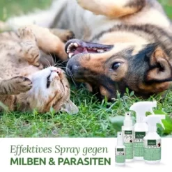 Aniforte Milben-STOP Spray Für Hunde Und Katzen 100 G 6 Aniforte Milben-STOP Spray Für Hunde Und Katzen 100 G -Tierbedarf Fach Geschäfte 65c573e701babc35d0222949c6f8e5e51e98ed10 1656142 de DE a537cb98349378307bdd6f629cf67a682ee52db6lSupmg
