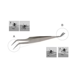 Lills Zeckenzange Aus Edelstahl -Tierbedarf Fach Geschäfte 666f3a3fb181b232ac8339dfb19af759aa845978 1488086 de DE f0e508c7b7855d95e1b35fa6dabdb0d0ba4555f76ECWsn