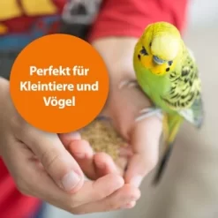 Ardap Milben- Und Zeckenspray Für Nager Und Vögel 100ml -Tierbedarf Fach Geschäfte 68a588b27c2bdeb958613c196e70f41522c1ca73 1352522 de DE 1626057c073e83595c48b5e38365b5bb10e0c4acyC8yCA