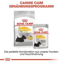ROYAL CANIN Dermacomfort 12x85g 11 ROYAL CANIN Dermacomfort 12x85g -Tierbedarf Fach Geschäfte 69750bd34e5b92bb7d1a6d179e740b0b7a4aa189 25d2a643dfa72ea1134c487e0c6696ede7050777