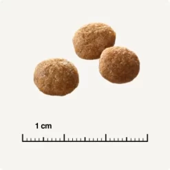 SELECT GOLD +12 Senior Geflügel & Reis 2,5 Kg -Tierbedarf Fach Geschäfte 6db53d99e99530132bf34d8482d69f423780c004 1081823016 de DE 6