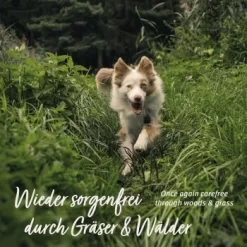 Aniforte Z-Season Snack 350g -Tierbedarf Fach Geschäfte 73a9c702b62350d9977522526f40b2f15ac1a87b 1495364 de DE a9f698c76a12bd39e549344514374e4b07a0f5b8wxpq6a