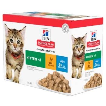 Hill's Science Plan Kitten Multipack Mit Huhn Und Seefisch 12x85 G 1 Hill's Science Plan Kitten Multipack Mit Huhn Und Seefisch 12x85 G