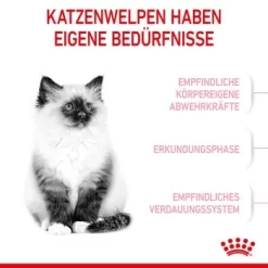 ROYAL CANIN Kitten 4 Kg 12 ROYAL CANIN Kitten 4 Kg -Tierbedarf Fach Geschäfte 76c69f287cfbe56e3ecbc6374c1c83282049ff9f 3182550702973 4