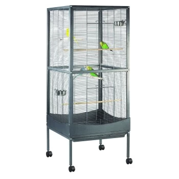 MORE FOR Voliere Melbourne 1 MORE FOR Voliere Melbourne