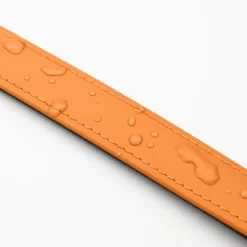 THE DOG IDEA Biothane Halsband Peach Pink M 6 THE DOG IDEA Biothane Halsband Peach Pink M -Tierbedarf Fach Geschäfte 79a2111ad40e5fad15daace172221374f98e6cc4 1679187 de DE 51bb020948375b628b5548a37c78dbf992c16262Tnehdd