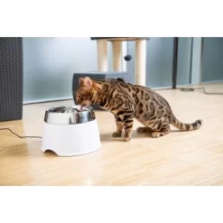 AniOne Edelstahl-Trinkbrunnen Trevi Ohne Ersatzfilter -Tierbedarf Fach Geschäfte 7a066af048695bbfaeca0a855e5984fc3bf99d03 689fcf415d486ac05c07f2a4868b1d087d7a9ece