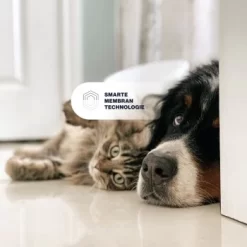 KYVETIN Spray Skin Repair Für Hunde Und Katzen -Tierbedarf Fach Geschäfte 851cbfa418e315e47d7ba499ec62be71e3229497 1364195 de DE KyvetinSpray 7