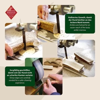 ChronoBalance Geweih Halbiert (L) 2er Paket 3 ChronoBalance Geweih Halbiert (L) 2er Paket – Bild 3