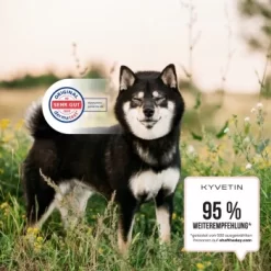 KYVETIN Spray Skin Repair Für Hunde Und Katzen -Tierbedarf Fach Geschäfte 855eb3c7fca7c841451cde094ef9ccbea4bfbca8 1364195 de DE KyvetinSpray 5