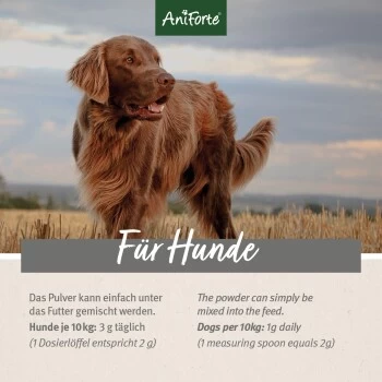 Aniforte 4in1 Complete Dog 5 Aniforte 4in1 Complete Dog – Bild 5
