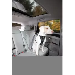 Kurgo Sicherheitsgeschirr XS -Tierbedarf Fach Geschäfte 87813e7da78344d76194991149b2935972cb3fc9 9b7a4549d6992d8434083c74ff0b43057fd79273