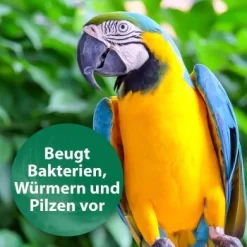 Quiko Med V Liquid 100 Ml: Mit Hochwertigem Oregano-Öl Für Ziervögel 5 Quiko Med V Liquid 100 Ml: Mit Hochwertigem Oregano-Öl Für Ziervögel -Tierbedarf Fach Geschäfte 88a4d869da906e8aaa1074413d2b5765c37fe51c 1387820 de DE 18f5cb5cc5b0a1074c44f20b530fefedca292a50auwynr