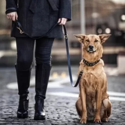 THE DOG IDEA Biothane Hundeleine Gold Schwarz 7 THE DOG IDEA Biothane Hundeleine Gold Schwarz -Tierbedarf Fach Geschäfte 8bf0c913dc2690add8ce01b14be3f82303129e74 1655416 de DE 01b2176a917ca11ea55be7a01d9a2ab678a246c6e3TMYo