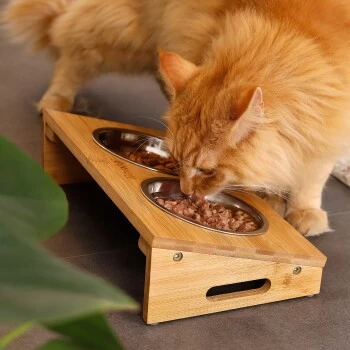 Lionto Futterstation Mit Bambusgestell 3 Lionto Futterstation Mit Bambusgestell – Bild 3