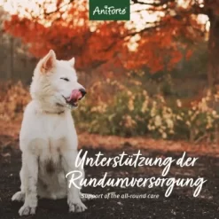 Aniforte 4in1 Complete Dog 8 Aniforte 4in1 Complete Dog -Tierbedarf Fach Geschäfte 8c5939e9a034077a3552f158dbe5f91fd29e1215 1332843 de DE aca85754970fb7b2c441c0d2dd5fcc395b1360c0UEca49