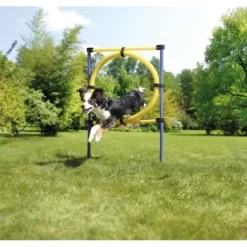 AniOne Agility Set 16 AniOne Agility Set -Tierbedarf Fach Geschäfte 8dd2c346cfba9b57b3f14270694b3f975d0558fa 8ae19109d8863c833405d8d5b2e72b4315e858f5