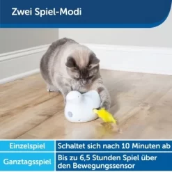 PetSafe Peek-a-Bird Katzenspielzeug 7 PetSafe Peek-a-Bird Katzenspielzeug -Tierbedarf Fach Geschäfte 9098c5e233d7eadf52871376ca49db60dd586869 1418725 de DE 55ac7aa122a767fe4a0070bf9380594d7b6c69899nnz2F
