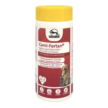Fortan Carni-Fortan Pulver Mit L-Carnitin 80 G 1 Fortan Carni-Fortan Pulver Mit L-Carnitin 80 G