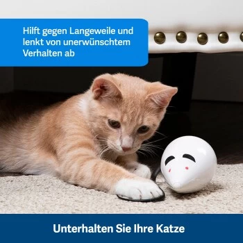 PetSafe Automatisches Katzenspielzeug RoloRat 5 PetSafe Automatisches Katzenspielzeug RoloRat – Bild 5