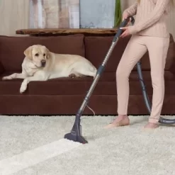 THOMAS DryBox Amfibia Pet -Tierbedarf Fach Geschäfte 9953282c61e03abd8b9e8af05edae29417570062 1406734 de DE 1c8fb73e21f9aae62063930fedd2d58afb94e8aanSOWPf