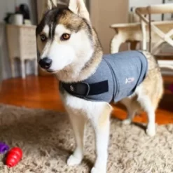 Thundershirt Beruhigungsweste Grau XS -Tierbedarf Fach Geschäfte 9a1e301e33f1361e91f7c9989e135033c3825116 854880001141.PT09
