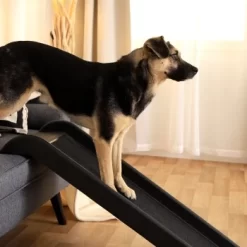 Lionto Hunderampe S -Tierbedarf Fach Geschäfte 9a27d9081358a028a1b72ead7080510044a8169e 1666004 de DE f64b973e1493edf7fe4f36b8d999583502db377cygQs3E