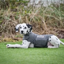 Thundershirt Beruhigungsweste Grau XS -Tierbedarf Fach Geschäfte 9b6b99fb9c0e02a64cc609b7ca852c71d17d0d84 1102942 2