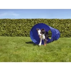 AniOne Agility Tunnel -Tierbedarf Fach Geschäfte 9b82da119a923abe80bb6d63ef97328c5e1e7dcf 2dc906b772e837b2770e0f896237c640992fd5d2