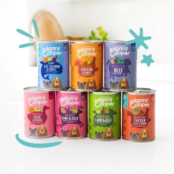 Edgard & Cooper Senior Huhn & ASC Lachs 6x400g 8 Edgard & Cooper Senior Huhn & ASC Lachs 6x400g – Bild 8