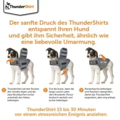 Thundershirt Beruhigungsweste Grau XS -Tierbedarf Fach Geschäfte 9ff088bccc5f7d02926fc2c1845a1030d5e07bc3 1102942 5