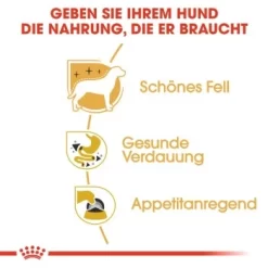 ROYAL CANIN Chihuahua Adult 12x85g -Tierbedarf Fach Geschäfte a1212bd4c85597fb805a0f74a8bc83dd87efc699 1239183 de DE rc