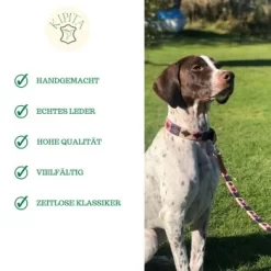 Kipita Polo Hundeleine Rainbow 11 Kipita Polo Hundeleine Rainbow -Tierbedarf Fach Geschäfte a2c75ce377ad0bdc620fae8249de4744cf0eee28 1410921 de DE 6f891659a2f595d1b30e918fefe4ff5811ec8a16AyAJ3g