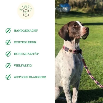 Kipita Polo Hundeleine Rainbow 6 Kipita Polo Hundeleine Rainbow – Bild 6